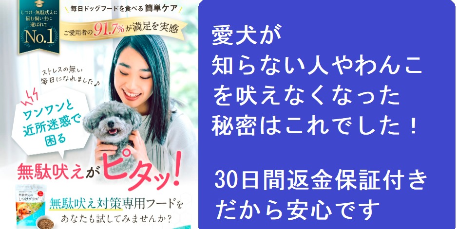 無駄吠えのしつけプラスが効果なし?犬の無駄吠えを改善するための5つの具体的な方法とその実践例