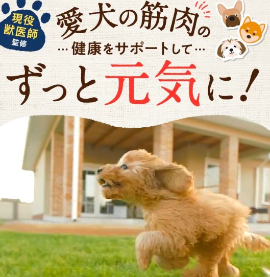 犬用サプリのTa-Ta（タータ）が効果なし？という悪い噂で誤解をしないで！【涙やけや関節でお悩みのワンコを優しくサポートしてくれるサプリ】