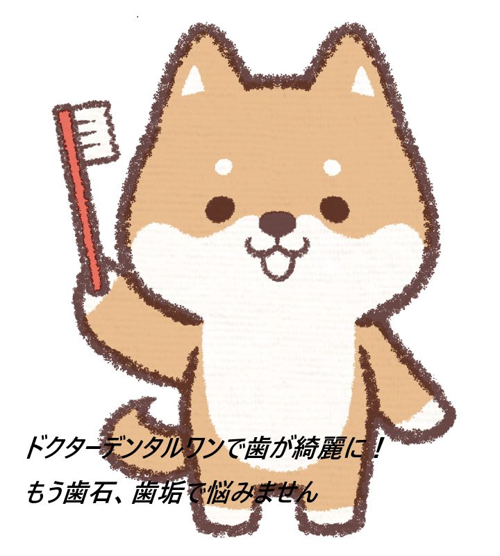 ドクターデンタルワンの怪しいという悪い口コミを信じない方がいい本当の理由【ブラッシングで汚れとニオイをポイッ!】