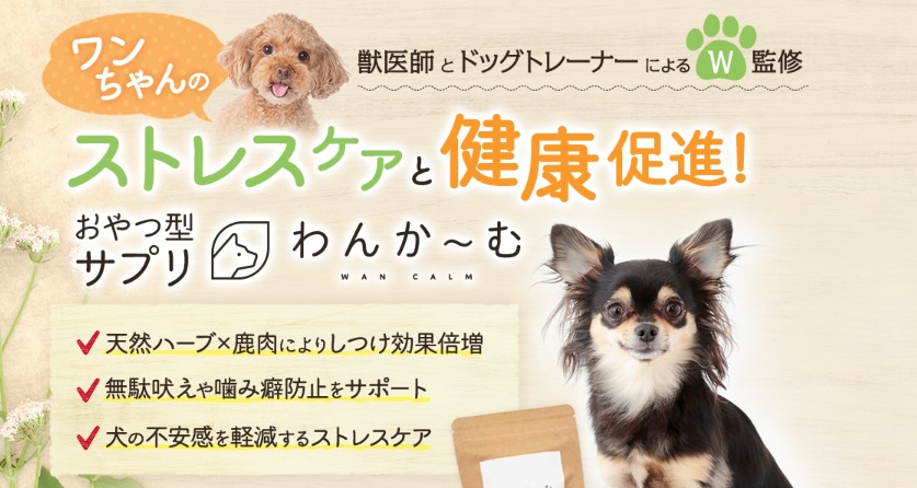 わんかーむの悪い評判が怪しい?しつけのご褒美に役立つドッグフードの正体