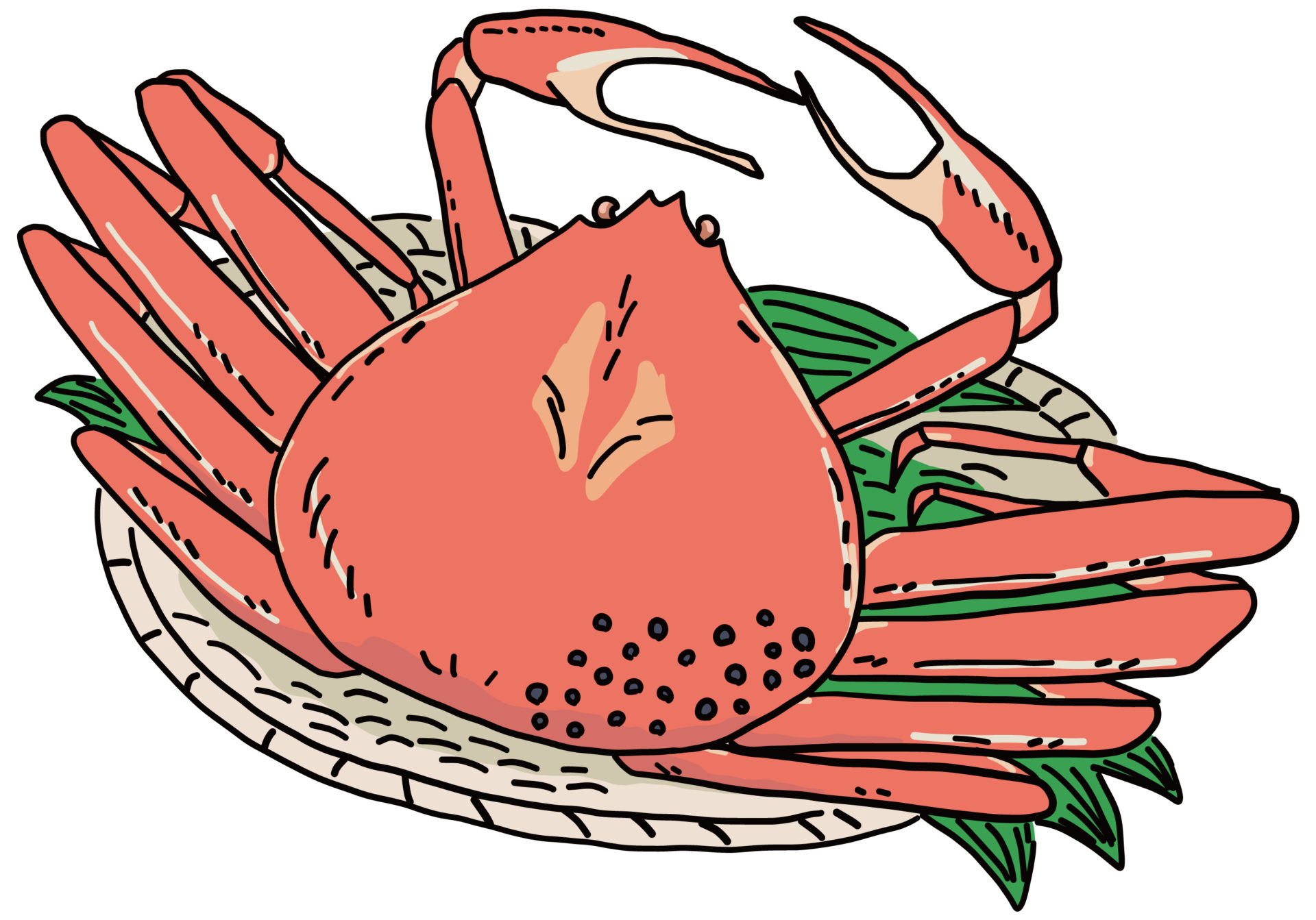 【主婦目線で納得!】間違いない2025年、カニ通販選びはここ!損をしない購入方法を紹介します!訳ありでも美味しくて高品質