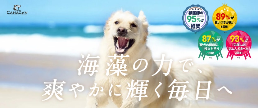 カナガンデンタルドッグフードのお試し!損をしない購入方法はこれ!実際に愛犬家の口コミ、評判を紹介