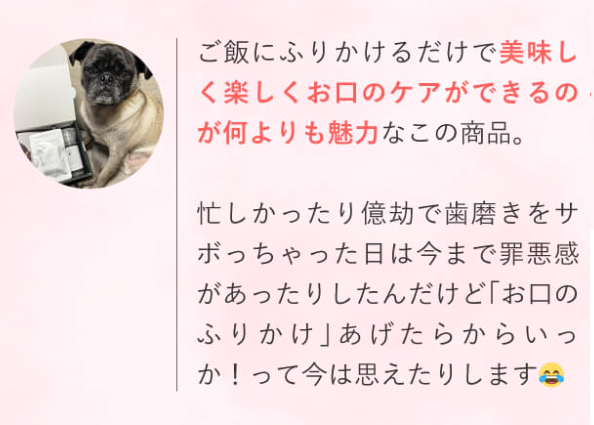 お口のふりかけ口コミ