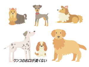 お口のふりかけ市販情報