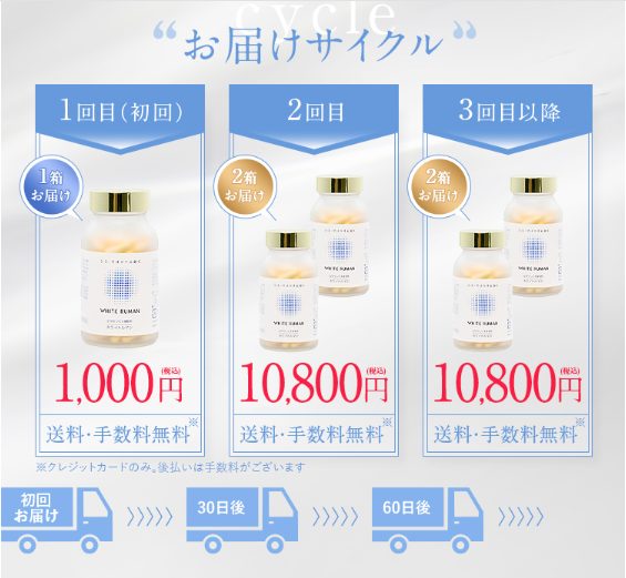 ホワイトルマン最安値