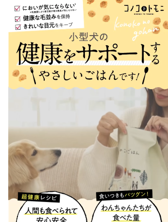 このこのごはんの最安値の取扱店!薬局、ドラッグストアでも売ってるの?【小型犬の健康をサポ―トする優しいご飯をお探しの方へ】