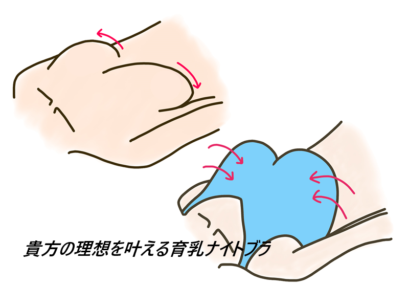 ルルクシェル くつろぎ育乳ブラはドラッグストア、薬局でも売ってる?最安値の販売店を紹介【夢見心地バストケア】