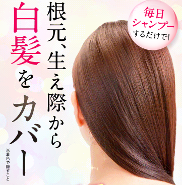 利尻カラーシャンプーの最安値販売店!ドラッグストア、薬局でも売ってるの?【根本、生え際から白髪をカバー】*着色で隠すこと