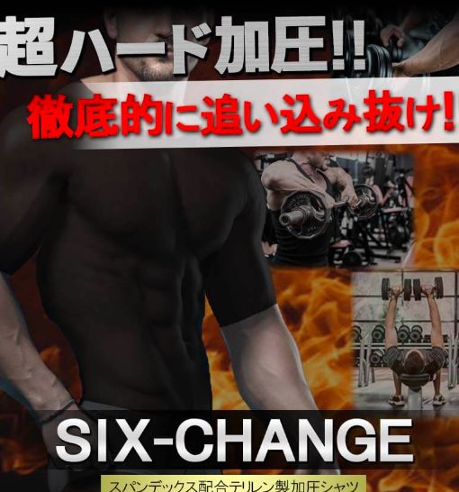 シックスチェンジの最安値販売店!ドラッグストア、薬局でも売ってるの?【自分史上最高のカラダへ!】