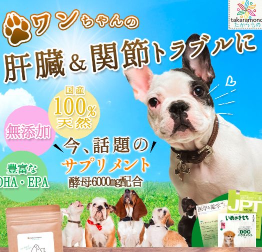 サミーフィッシュをお試しするならどこが安い?最新の最安値販売店を紹介!ドラッグストアでも売ってるの?【ワンちゃんの肝臓、関節のトラブルケア】