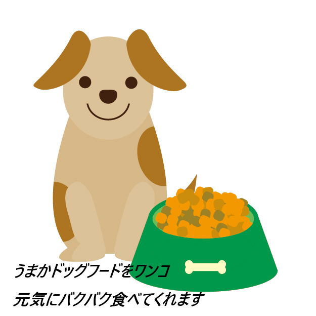 うまかドッグフードの最安値販売店!ドラッグストア、薬局でも市販されてるの?【ヒューマングレードを超える品質を】