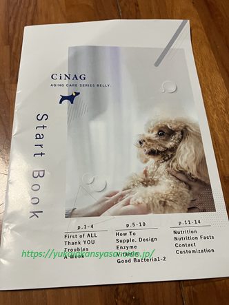 散歩中のみんちゃん