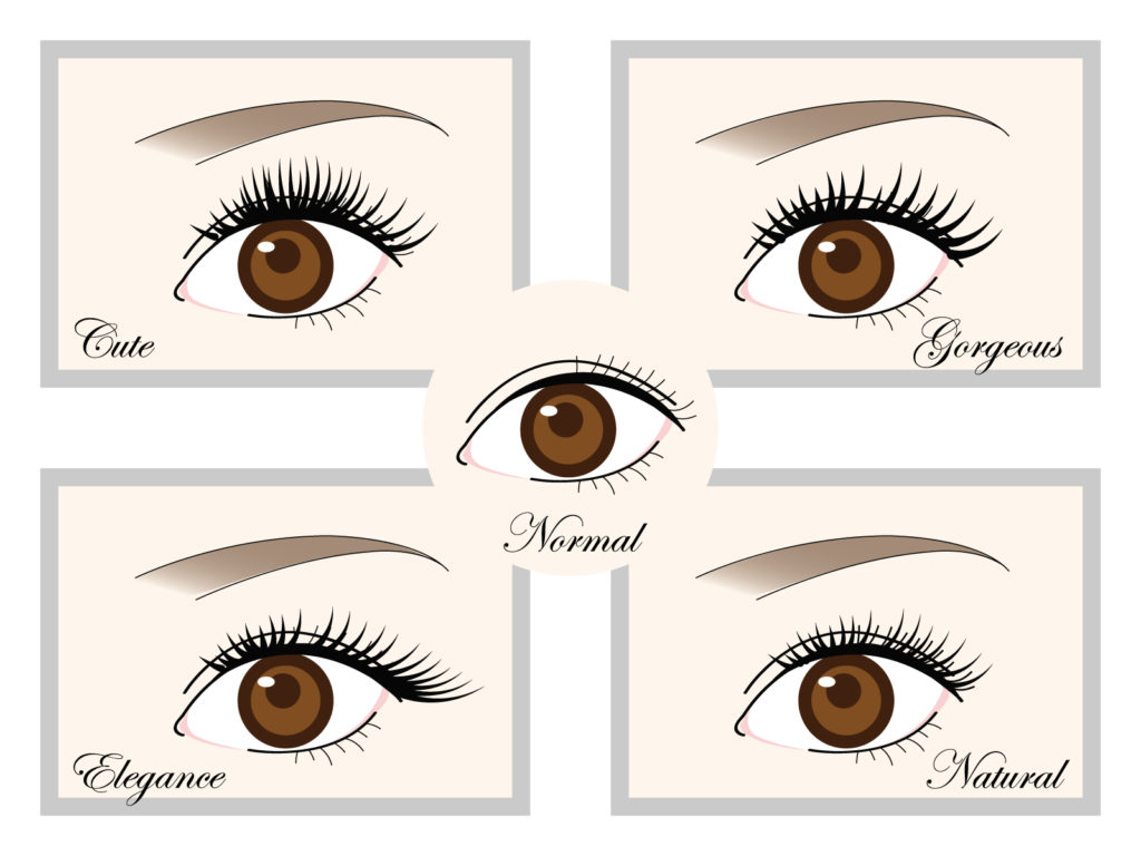 ビオまつ毛はドンキでも売ってるの?最安値の販売店を紹介【ケアするたびに美カール】