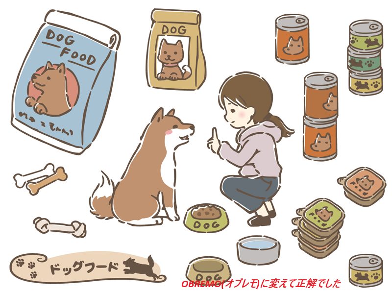 愛犬家ママ・なつみが厳選!「OBREMO(オブレモ)」をお得に試す最安値販売店と、うちの子の“目元・毛並みが変わった理由