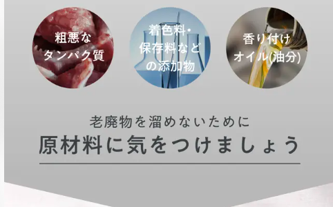 消化吸収と皮膚状態の関係