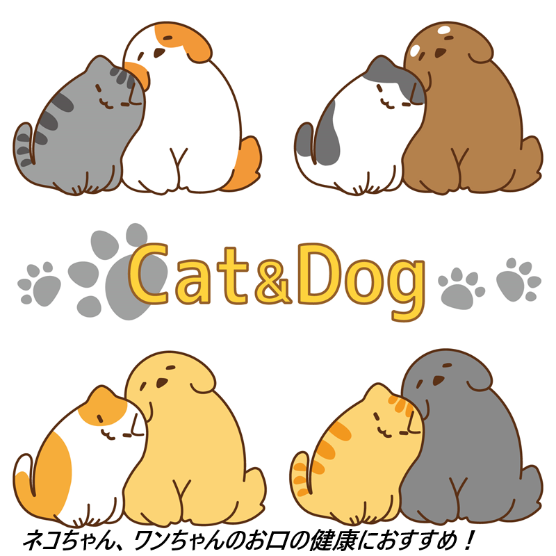 ドラッグストアではほぼ見かけない?“毎日口健 ラクトフェリン&KT-11”の最安購入ガイド