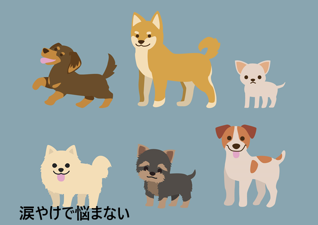 TRESOR BLANC(トレゾールブラン)の口コミ、評判で本音をチェック!【涙やけのケアの理想を実現する】