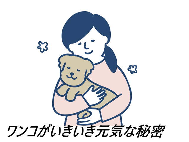 キドニーレシピの口コミ、評判で本音をチェック!【ワンちゃんの肝臓の健康を維持したい飼い主さんへ】