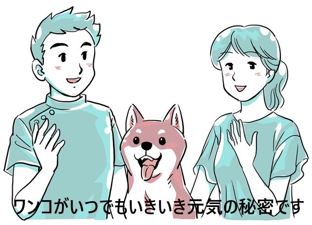 ドクターケアワンのお試しできる販売店の最新情報!【愛犬の身体の内側から行う目元ケア*】