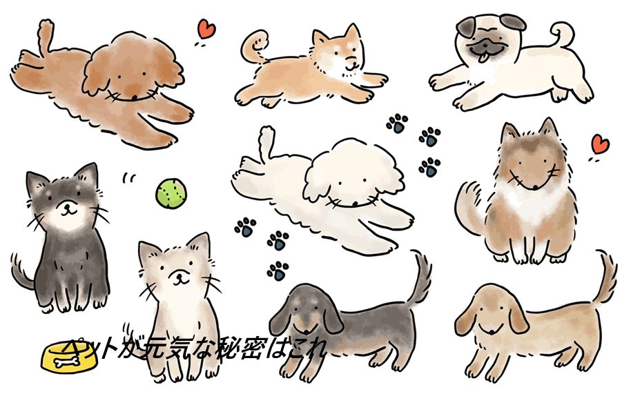 獣医さんの水素水はどこで売ってる?最安値の販売店を紹介【愛するペットを守るペット用水素結合水】