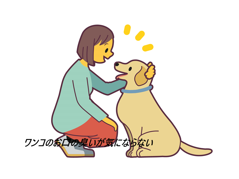 口腔ケアウォーターはどこで売ってるの?最安値販売店情報紹介します【ワンちゃんの水にまぜるだけのデンタルケア】