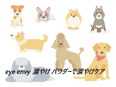 eye envy 涙やけ パウダーはどこで売ってるの?最安値の販売店を紹介【涙をはじき、ペットの涙やけ対策にピッタリ)