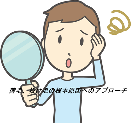 ホルモプレミアムヘアグロウはどこで買える？公式・通販サイトの販売状況と注意点まとめ