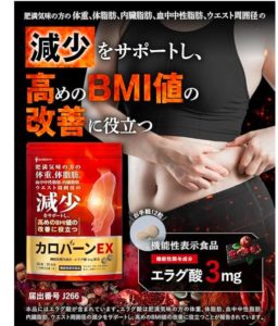 カロバーンEXエラグ酸