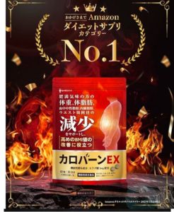 カロバーンEXランキング画像