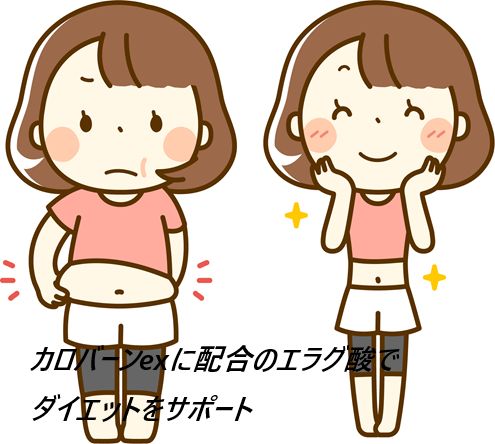 カロバーンexの口コミ、評判で本音をチェック!【エラグ酸を主成分とした お腹スッキリダイエタリーサポートサプリメントとは】