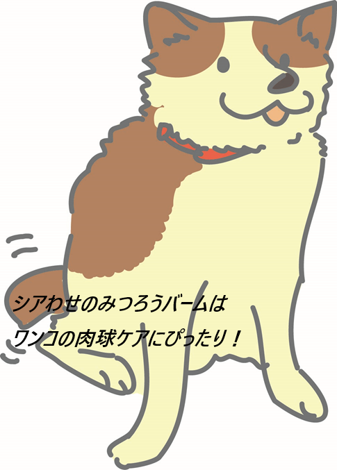 シアわせのみつろうバームはどこで売ってるの?最安値の販売店を紹介!【蜜蝋とシアバターの自然成分で肉球ケア】