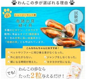わんこの歩みおすすめ犬
