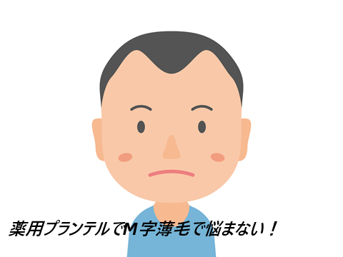 薬用プランテルの口コミと販売店まとめ|M字に悩む男性が選んだ理由と購入前に知っておきたいこと
