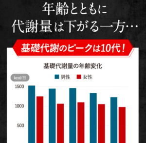 キラーバーナー2