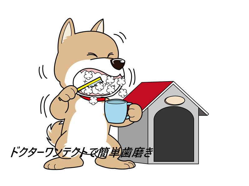 ドクターワンテクトの口コミ、評判で本音をチェック!愛犬家に大人気!舐めるだけの歯磨きジェル】