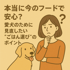 本当に今のフードで安心？愛犬のために見直したい“ごはん選び”のポイント