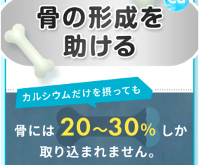 GUNGUN(ぐんぐん)パウダーは“骨づくりを支える栄養をまとめてサポート”する設計